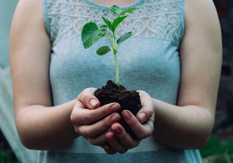 nikola-jovanovic-semis-unsplash